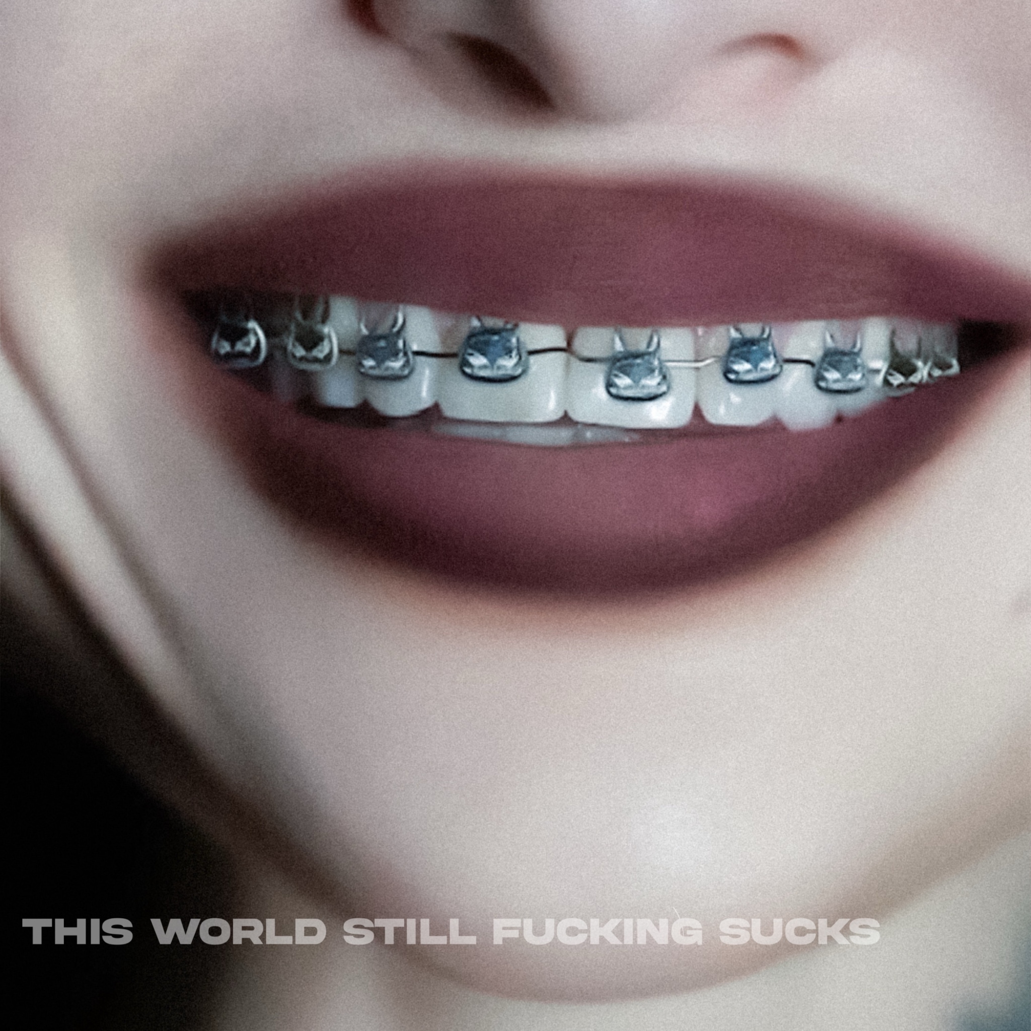 Cassyette - This World Still Fcking Sucks Album